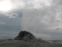 White Dome Geyser